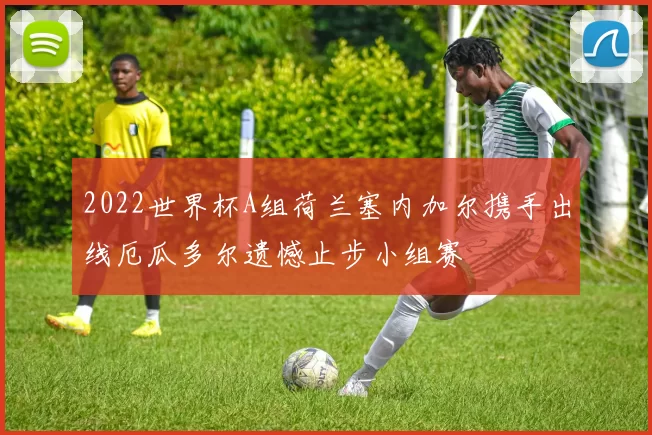 2022世界杯A组荷兰塞内加尔携手出线厄瓜多尔遗憾止步小组赛