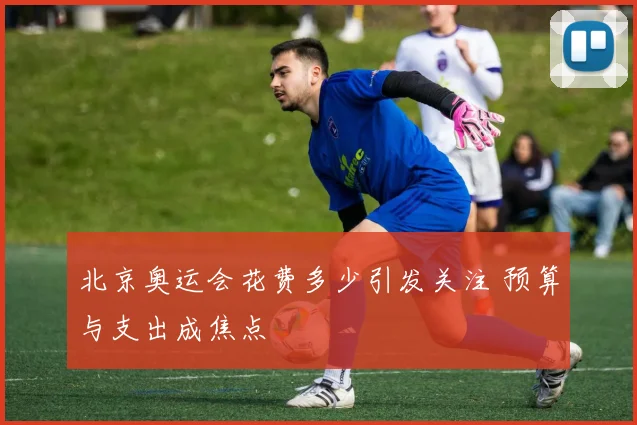 北京奥运会花费多少引发关注 预算与支出成焦点